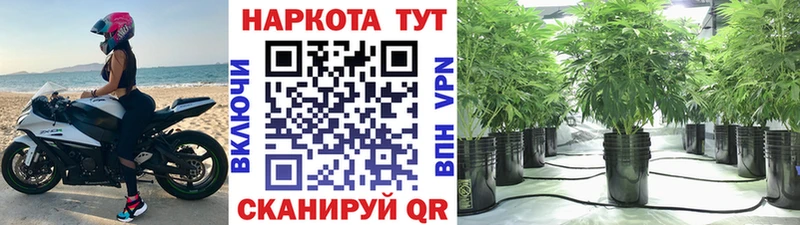 Где продают наркотики Ржев КОКАИН Марихуана Меф Псилоцибиновые грибы Гашиш