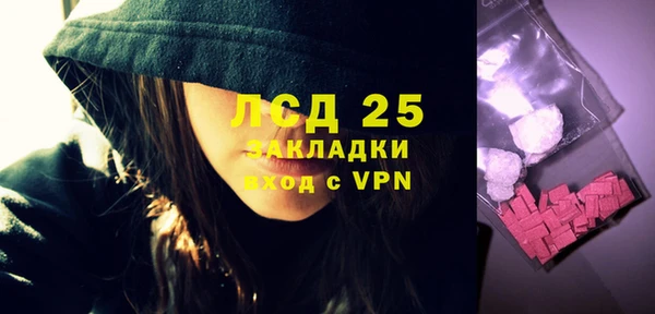 a pvp Магас