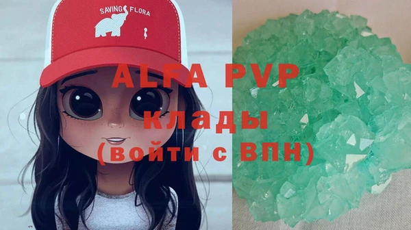a pvp Магас